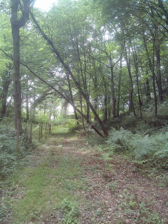 Les Gites De Castera Aire-sur-lʼAdour Buitenkant foto