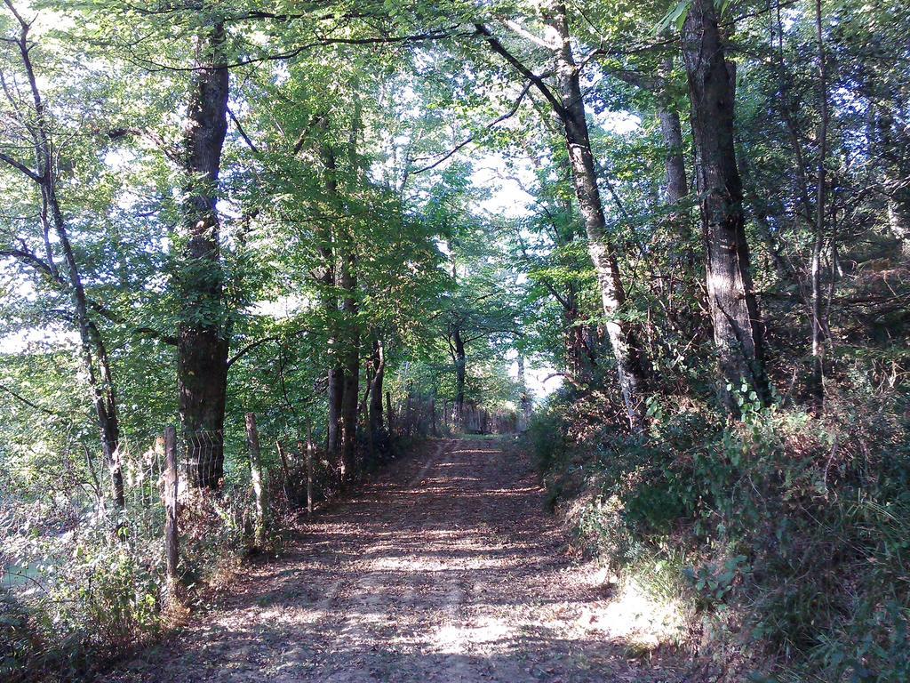 Les Gites De Castera Aire-sur-lʼAdour Buitenkant foto